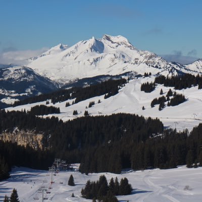 avshannon's profile picture. 17