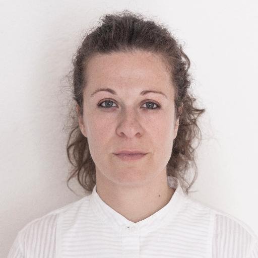 Architect / Consultant. Museums, Architecture, Spatial Navigation & Cognition, Virtual Reality.