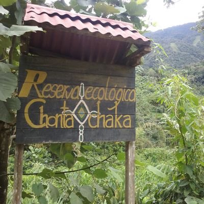 La Asociación Civil Reserva Ecológica Chontachaka desarrolla un proyecto de restauración biológica en el Predio Palmaceda, provincia de Paucartambo, Cusco.