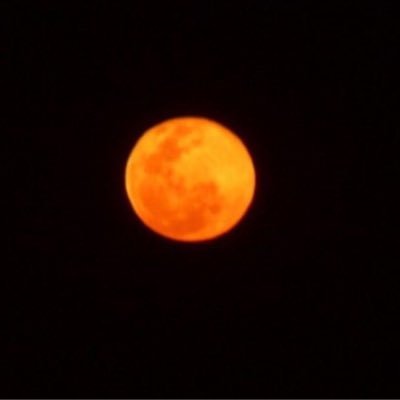 maestra_vida's profile picture. 