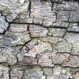 FinallyhomeFL's profile picture. 