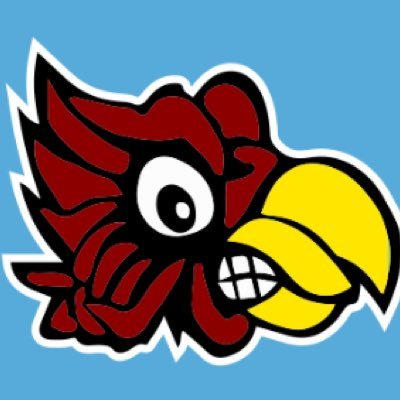 Official Twitter account of the Crystal Lake Cardinals Baseball Organization.