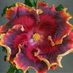 TheTorontoFlowerShow (@torflowershow) Twitter profile photo TheTorontoFlowerShow (@torflowershow) Twitter profile photo