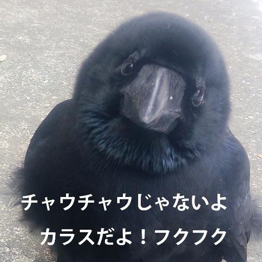 Onob 昨日たべた焼鮭にアニサキス 食べたあとに発見 よく焼いたか急に不安になったけど 冷凍ものだから平気か Onob 昨日たべた焼鮭にアニサキス 食べたあとに発見 よく焼いたか急に不安になったけど 冷凍ものだから平気か