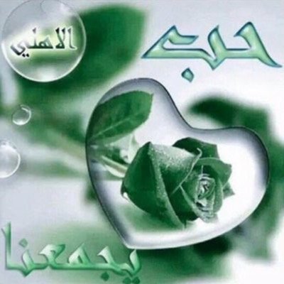 عاشق الملكي