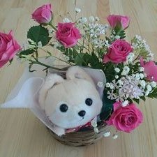 彩華堂 トルコキキョウ入荷しました ２種類です レイナホワイトとボンボヤージュホワイトで どちらも白系統 違いがわかりますか