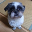 日限山 (@19720308ja) Twitter