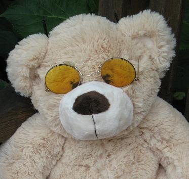 the Bear Doctor. Chairman of a whole gang of bears living in the study of The Human