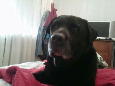 mariaperezga58's profile picture.