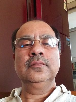 bibhashnath2016's profile picture. 