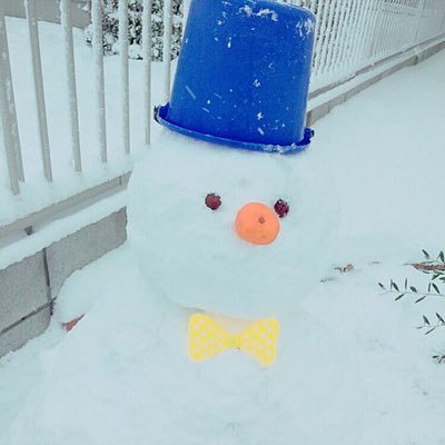 どうもぉ。 スノーマンだよ~⛄️ 自由気ままにつぶやくょ。 人間が作った雪だるま その名もスノーマンッ‼︎