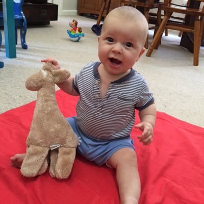 bfrostie's profile picture. Chartered Accountant in NW Sydney concerned about tax, environment, politics, people and faith