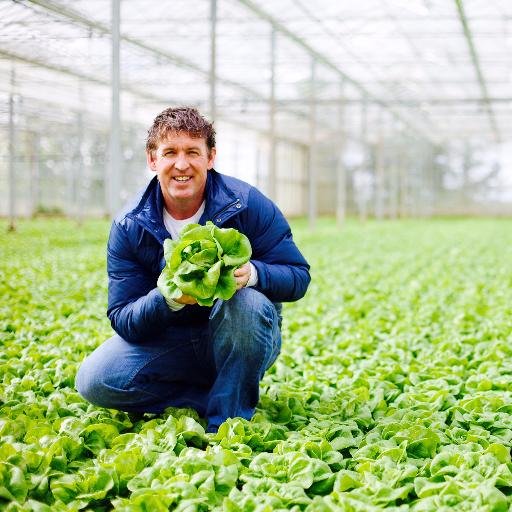 Four Season Nur proud to say that our lettuce is only cut when ordered,so a head of lettuce will go from the glasshouses to the shelves within a matter of hours