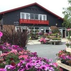 A year round independent garden center & landscaping company located in Latham, NY