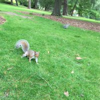 Motohiko Adomi (@ad_halfway) 's Twitter Profile