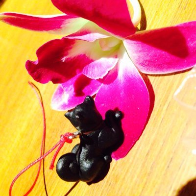 恵花さんのプロフィール画像