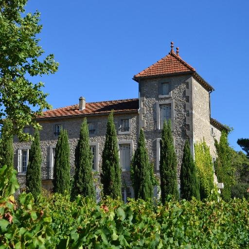 En vingård i södra Frankrike som ägs och drivs av f.d. hockeyspelaren Bruno Ohlzon.