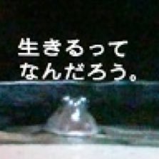 いつのまにか産婦人科。救急と緩和。生きてゆく限り否むことのできぬ希望とやらを探しています。おんがくと小説は生きがい。 //徒然ごと、写真、犬、合唱、ときどき医学