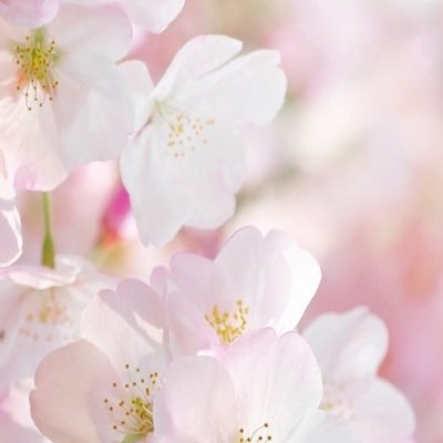 today090909's profile picture. 