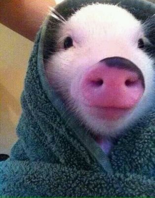 novaseokp's profile picture. No me sigas, no se a donde voy.