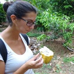 Chocobackpacker's profile picture. 