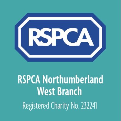 RSPCA Northumberland West Branch finds new homes for cats & dogs, provides pet welfare advice & may be able to help those on low incomes with vets' fees