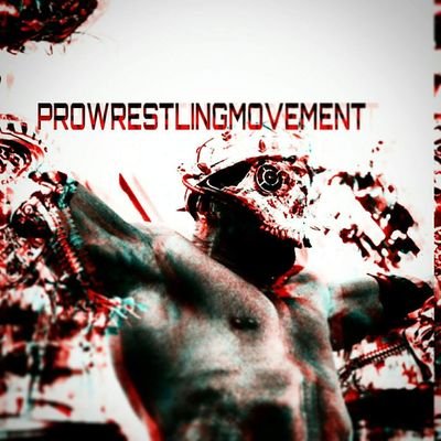 We like Wrestling. FACT.   Follow us on IG: @PROWRESTLINGMOVEMENT