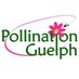 Pollination Guelph (@pollinateguelph) Twitter profile photo Pollination Guelph (@pollinateguelph) Twitter profile photo