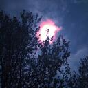 LaylaHolmes - @LaylaHolmes1 - Twitter