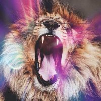 Heliu (@akita_vodka) 's Twitter Profile Photo