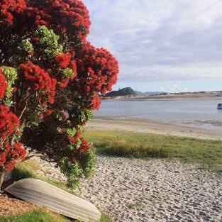 1 hr north of Auckland crystal clear waters, white sands, sun, surf, dolphins 
* Paradise *