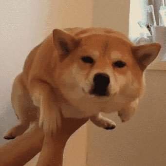 yaboibrandonj's profile picture. 