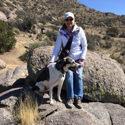 jj4bush's profile picture. #Hearties