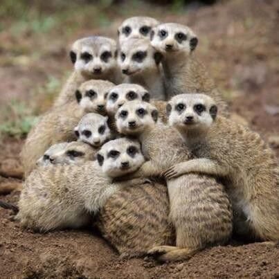 gianelli56's profile picture. 