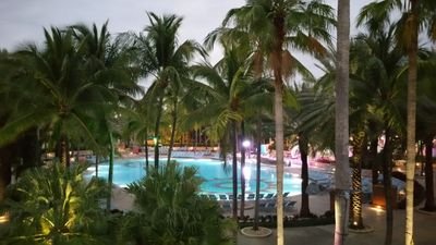 daleseepersad2's profile picture. Personality, Personality & Personality...just fun in the sun...