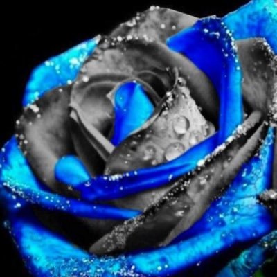 Devilchild2017's profile picture. girl , 22,fav colour blue