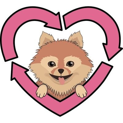 Recycled Pomeranians and Schipperkes Rescue is a dog rescue located in Dallas, TX.