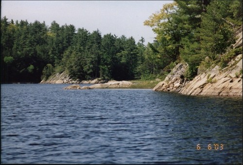 yeahbuddy's profile picture. IT Recruiter for Progressive Insurance