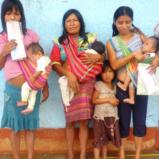 Providing medical relief, clean water, and education to remote indigenous communities and underserved populations of the Peruvian Amazon since 1993.