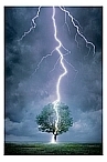 Studies and discussions on Bible prophecy regarding end-time events, including the 42-month great tribulation before the Revelation of Jesus Christ.