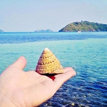 PhmKhi2's profile picture. IT