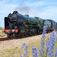 RHDR(@RHDR) 's Twitter Profile Photo