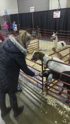 albbbky's profile picture. 