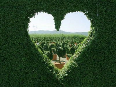 rLUFGQTXrgtOYI4's profile picture. 暇があれば映画みてる高校生です💕