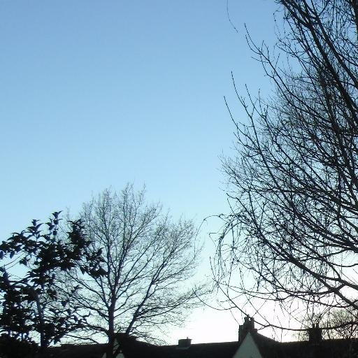 money77_'s profile picture. 25th march 2016