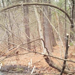 westoncampus's profile picture. Asking questions and collecting data with video and still images.