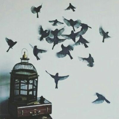 WuMG6Y's profile picture. آعتقد آنْ وجودگ فِي حَيَاتِي دَعْوَةُ آستجيبت لِي فِ لَيْلَةٌ كُنْتُ آردد فِيهَا، آرزقني آلسعآدھَہّ يَّآلله،! *