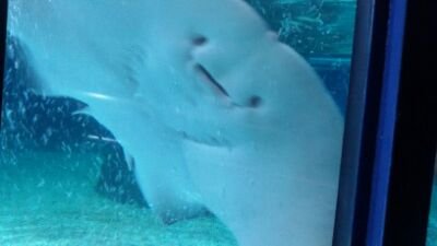 Flira_shakalaka's profile picture. 