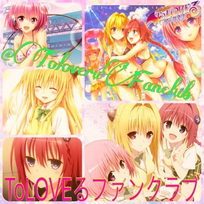 ToLOVEるファンクラブ共有垢さんのプロフィール画像