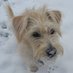 Bear Creek Dog Park (@bearcreekdogpar) Twitter profile photo Bear Creek Dog Park (@bearcreekdogpar) Twitter profile photo